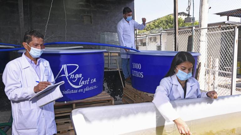 Centros de investigación, claves para el desarrollo acuícola Centros de investigación, claves para el desarrollo acuícola